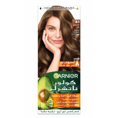 GARNIER COLOR NATURALS 6.1 DARK ASH BLONDE — NOURISHING CREAM PERMENANT HAIR COLOR 150 GM